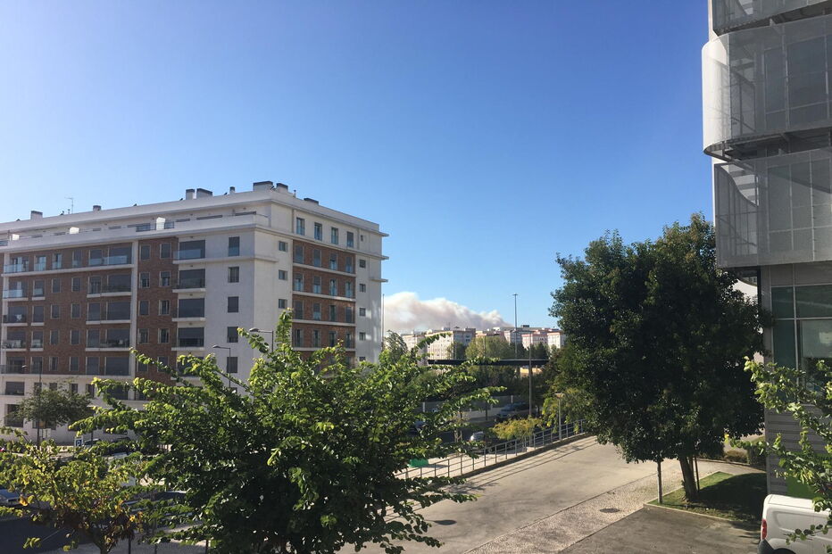 Incêndio na Serra da Carregueira, é avistado desde o Estádio da Luz, em Benfica
