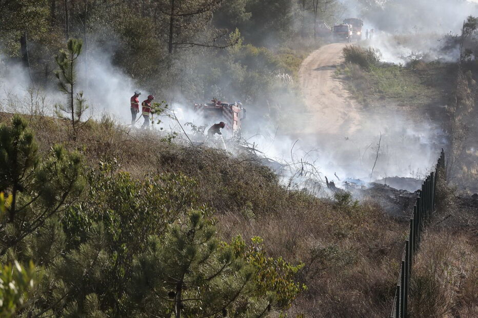 Incêndio na Serra da Carregueira, em Sintra