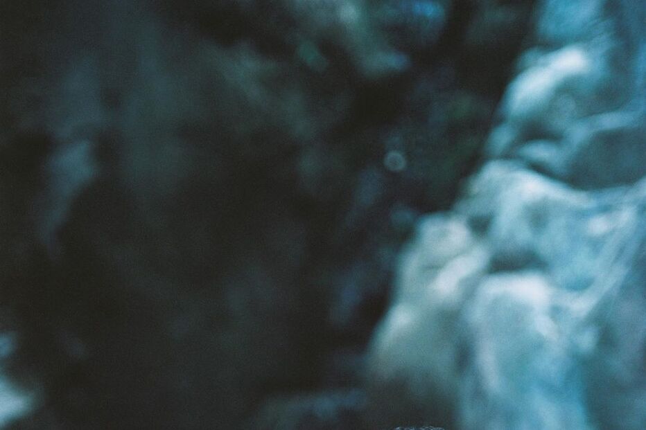 José Condessa, Bárbara Branco