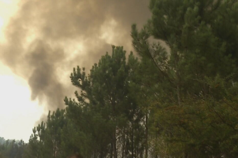 Fogo posto é a principal causa dos incêndios rurais 