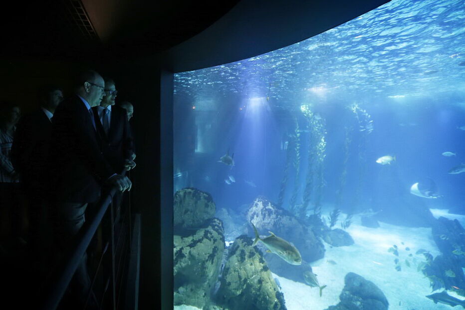 Príncipe do Mónaco visita Oceanário de Lisboa