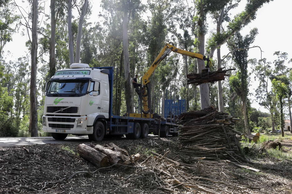 Prejuízos provocados na região Centro pela tempestade Leslie ainda são bem visíveis em alguns edifícios na Figueira da Foz