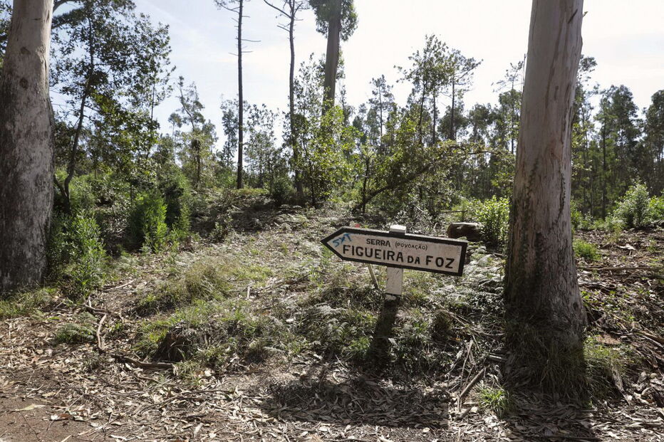 Prejuízos provocados na região Centro pela tempestade Leslie ainda são bem visíveis em alguns edifícios na Figueira da Foz