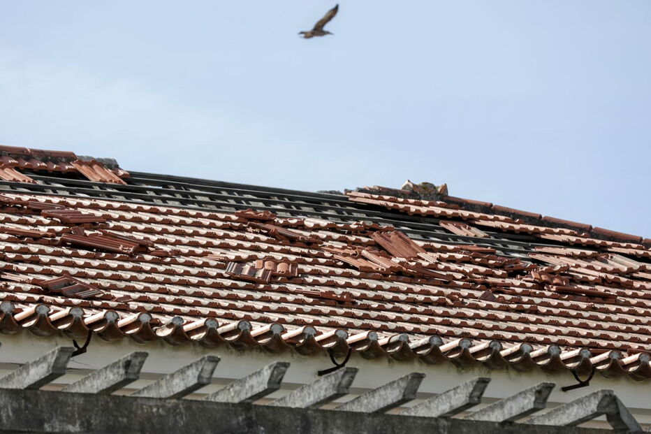 Prejuízos provocados na região Centro pela tempestade Leslie ainda são bem visíveis em alguns edifícios na Figueira da Foz