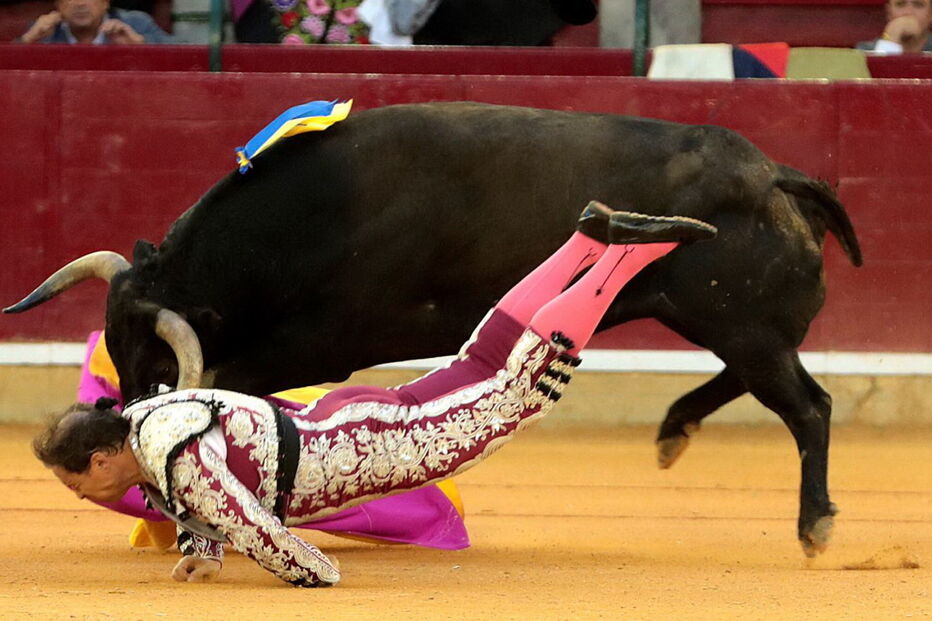 Mariano de la Viña caiu inanimado na arena
