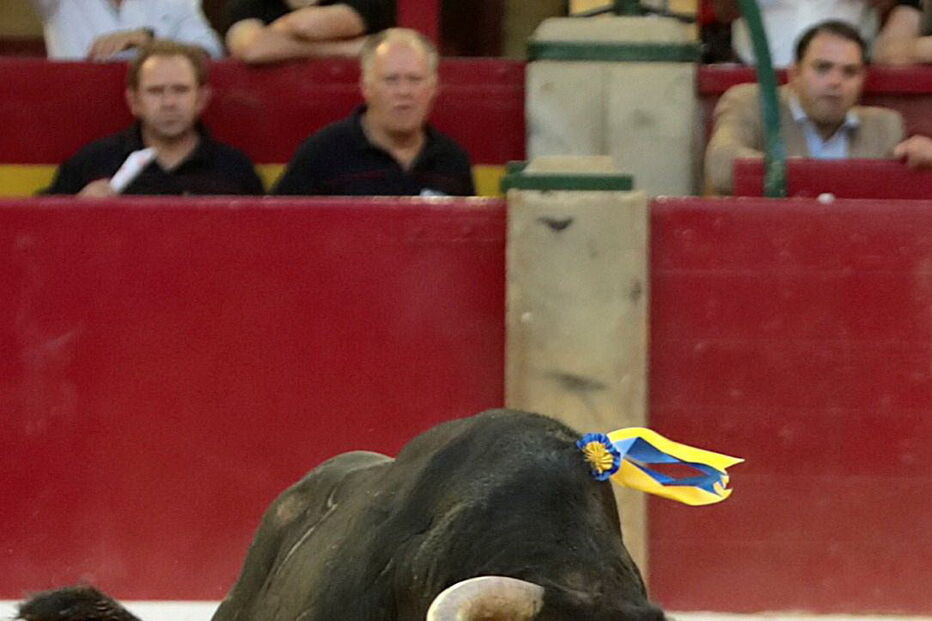 Mariano de la Viña caiu inanimado na arena