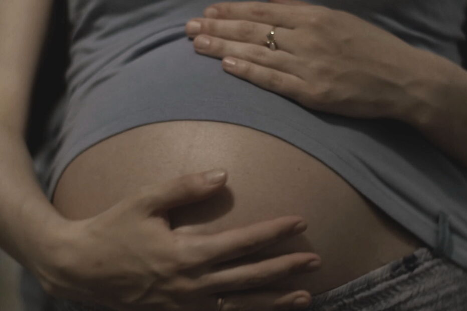 2019-10-15_20_31_46 Barrigas de aluguer continuam proibidas em Portugal.jpg