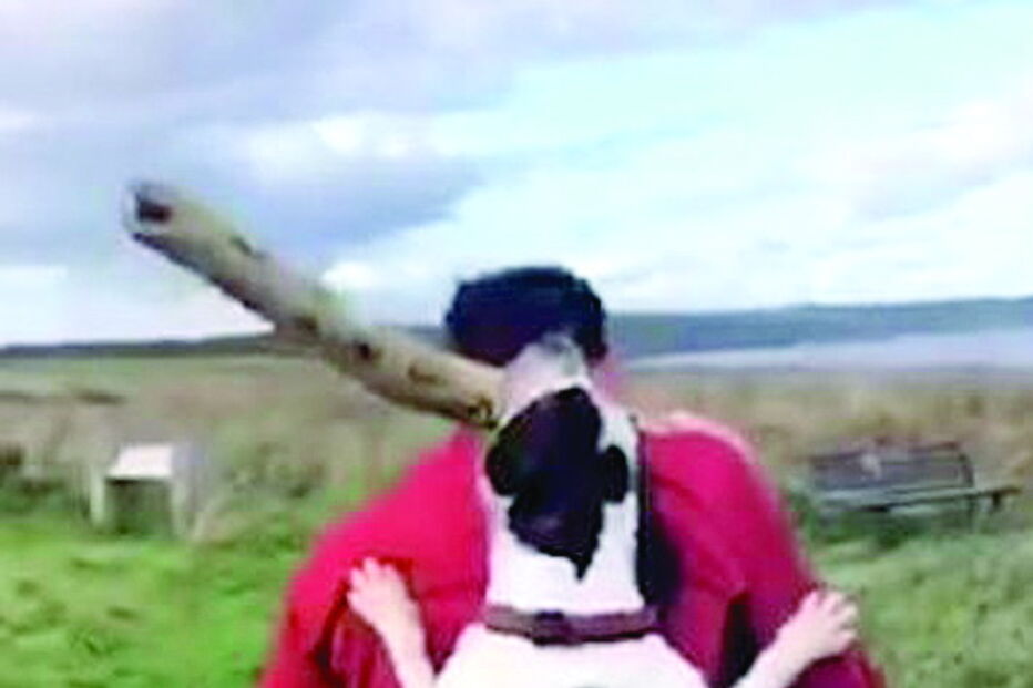 Cão teimoso persiste em não largar tronco de árvore mesmo quando a brincadeira já terminou 