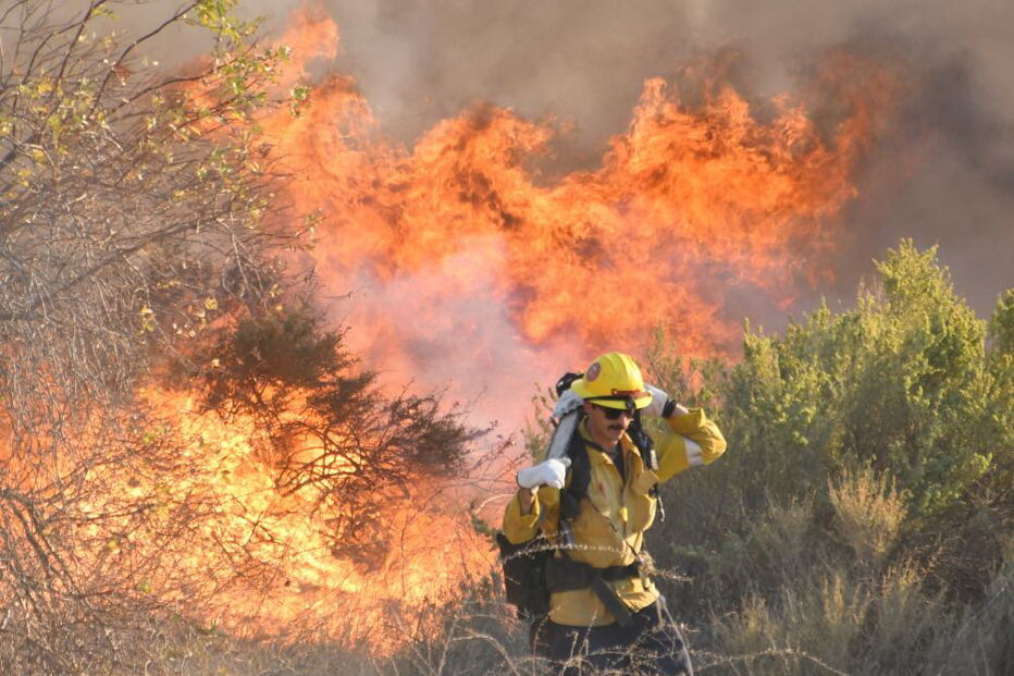 Vário incêndios florestais estão a lavrar na Califórnia