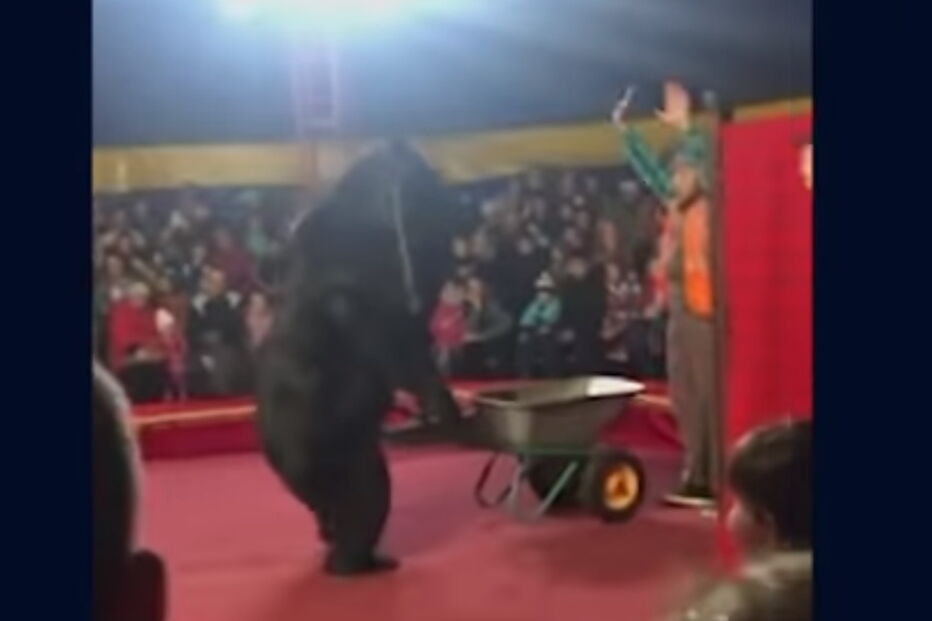 2019-10-25_15_51_32 rrr.PNG