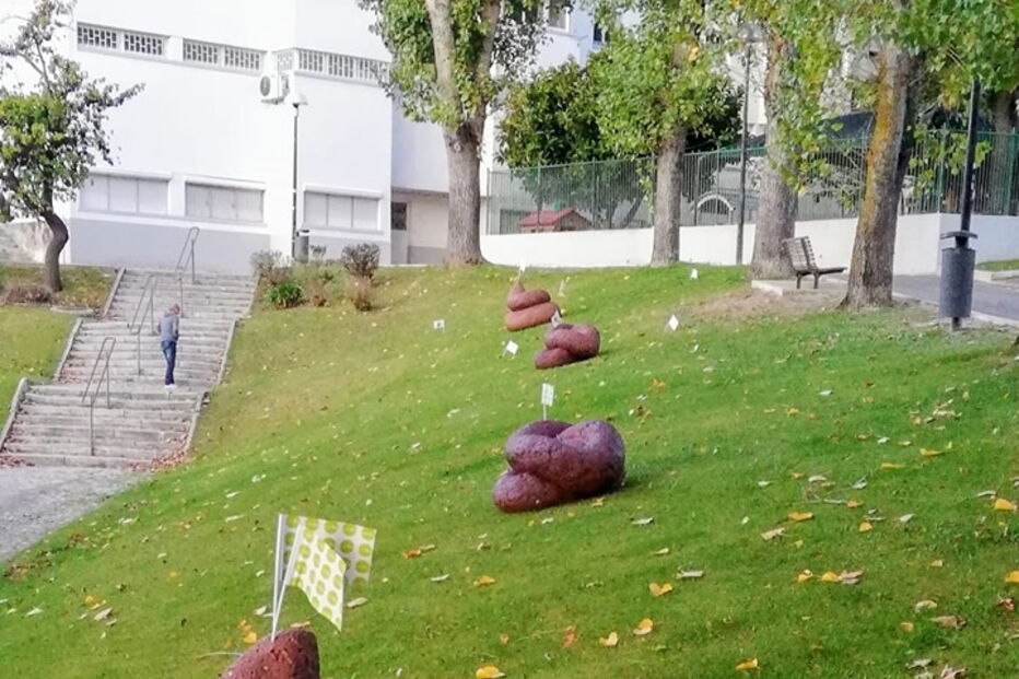 Ação de consciencialização da Junta de Freguesia de Carnide - 