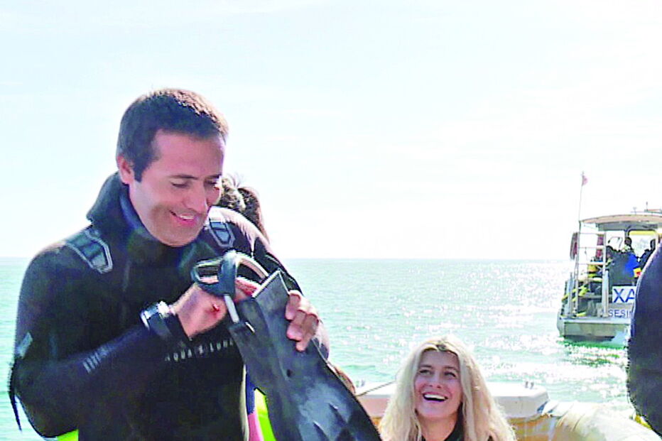 Sesimbra avalia cavalos-marinhos