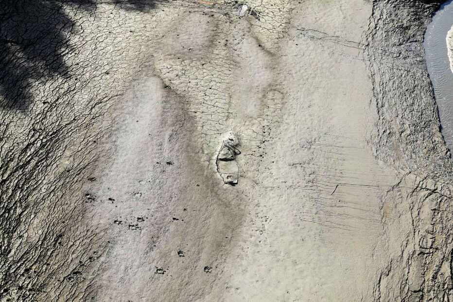 Nas margens do Tejo contam-se prejuízos e pede-se ação para salvar o rio