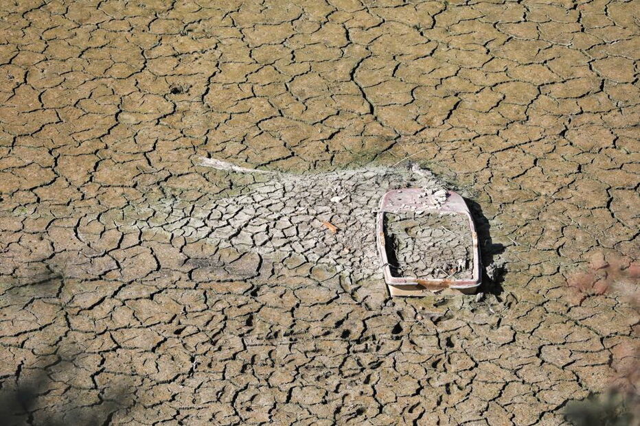 Nas margens do Tejo contam-se prejuízos e pede-se ação para salvar o rio