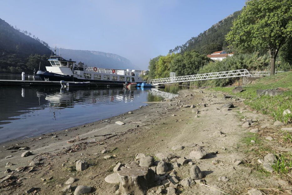 Nas margens do Tejo contam-se prejuízos e pede-se ação para salvar o rio