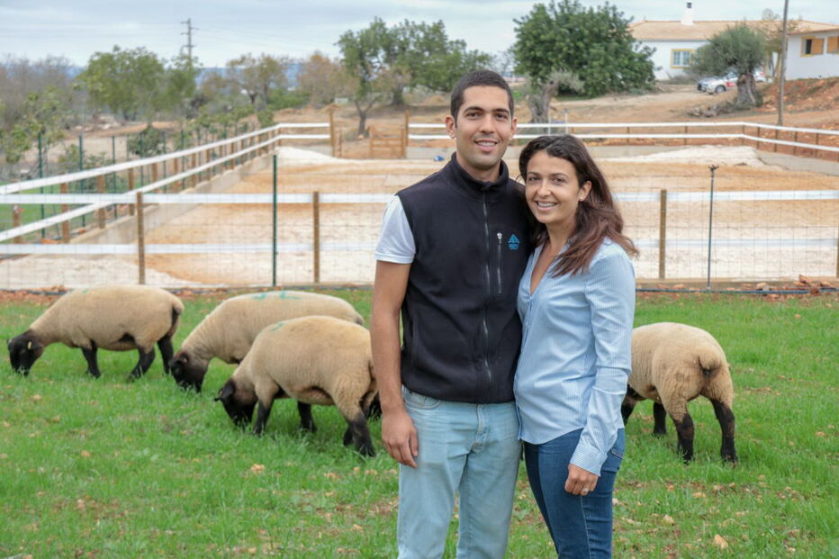 Casal aposta na criação de ovelhas ‘Choné’ na região do Algarve