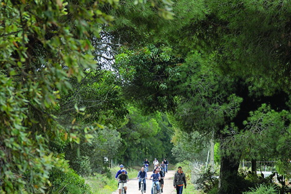Ecovia vai ligar duas cidades e visa estimular uso de bicicleta no dia a dia