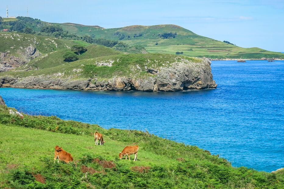 2019-10-31_16_05_28 iStock-1134516722.jpg