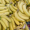 Apreendidos 4.500 quilos de cocaína escondidos em carregamento de bananas nos Países Baixos