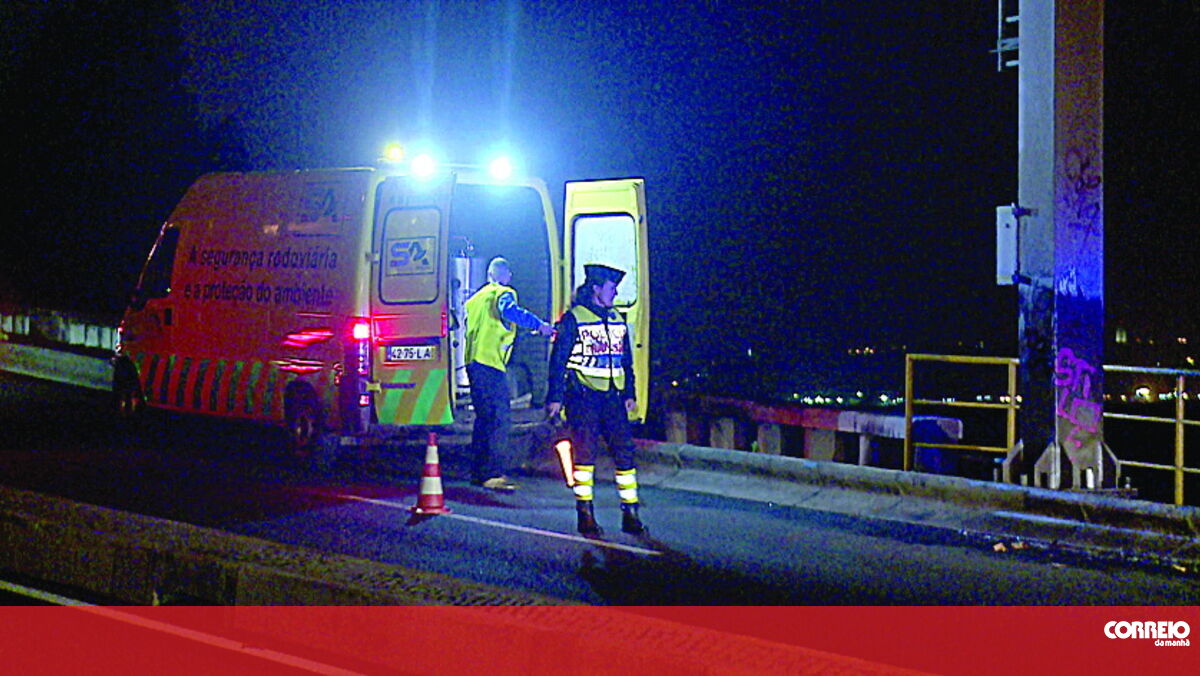 Condutora que atropelou homem e cão em Oeiras não fugiu do local - Correio da Manhã