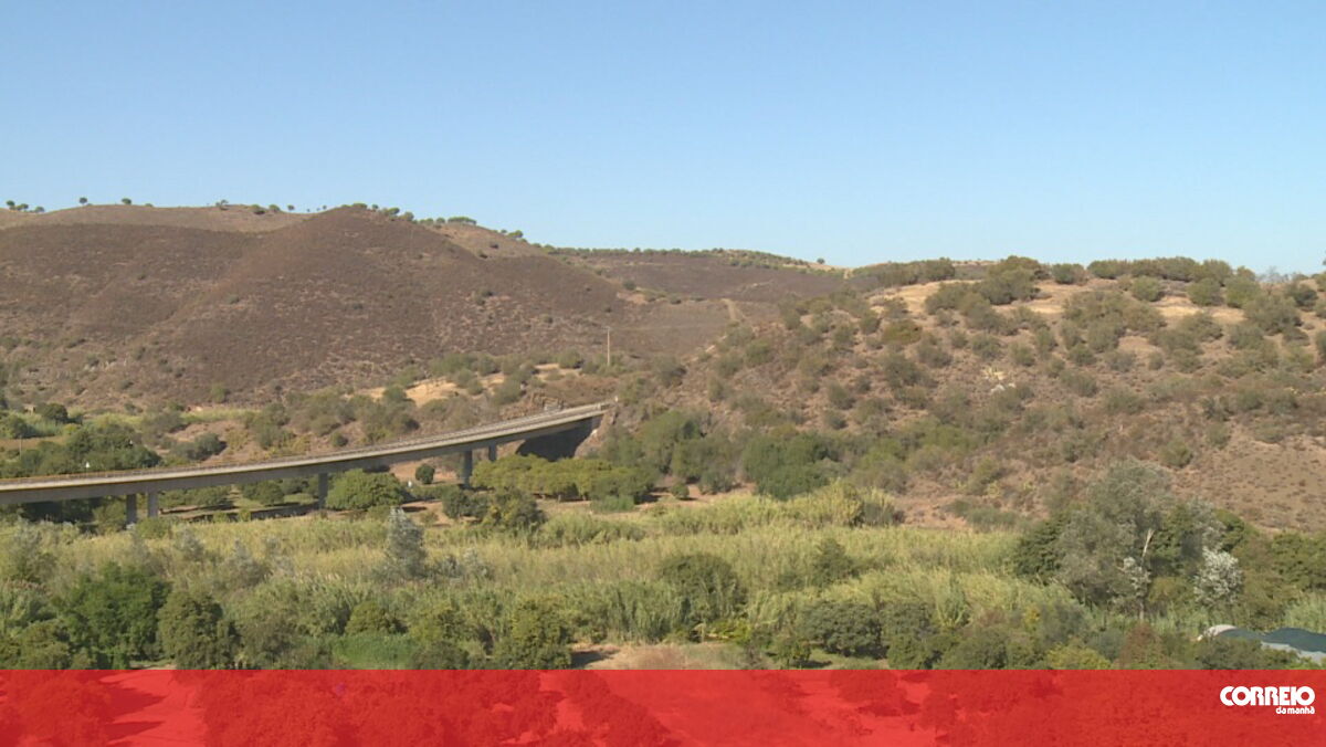 Seca extrema afeta produção de azeitona no Algarve - Correio da Manhã