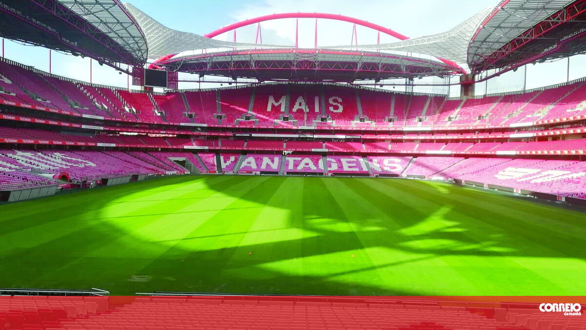 Novo relvado no Estádio da Luz vai dar lucro ao Benfica - Correio da Manhã