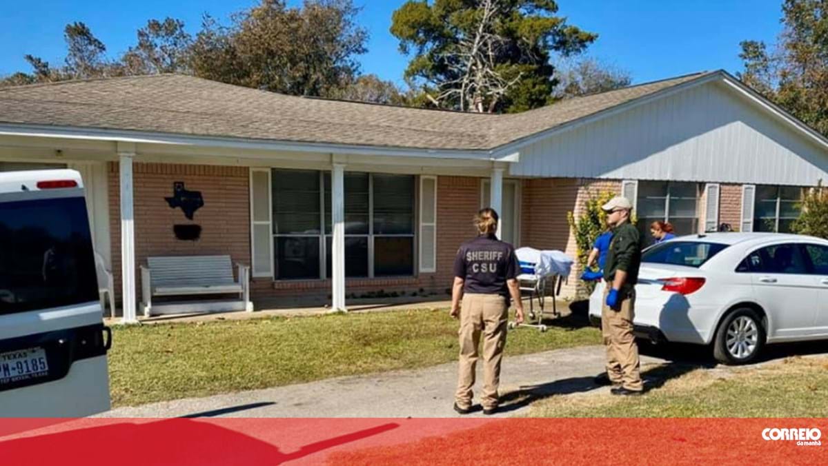 Mulher morta por porcos selvagens no quintal da casa dos patrões - Mundo