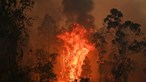 Pelo menos três mortos e vários desaparecidos nos incêndios na Austrália