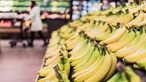 Comercialização de banana produzida na Madeira diminuiu 4,8% em 2021