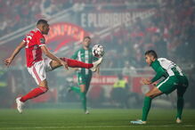 Benfica - Rio Ave	