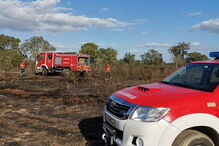 Incêndio devasta sete hectares de mato em Grândola