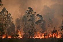 Incêndios na Austrália