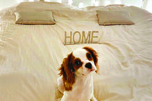 Cantora  partilhou a primeira fotografia na casa nova 