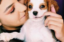 Bárbara Bandeira com Kylie