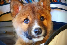 2019-11-21_08_57_58 wandi1.PNG