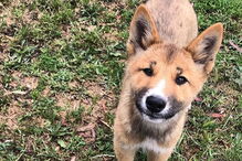 2019-11-21_08_57_59 wandi4.PNG