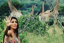 Cuca Roseta em Moçambique