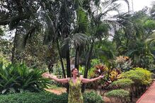 Maria João Abreu desfrutou de viagem à Índia