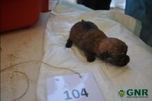 2019-11-28_13_59_16 gnr1.PNG