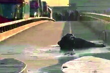 Terrorista foi imobilizado por populares até à chegada da polícia