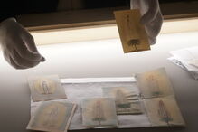 Santuário de Fátima expõe Narrativa das Aparições com 150 peças