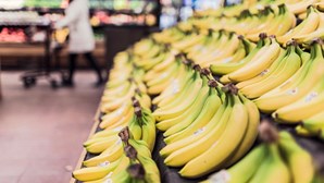 Comercialização de banana produzida na Madeira diminuiu 4,8% em 2021