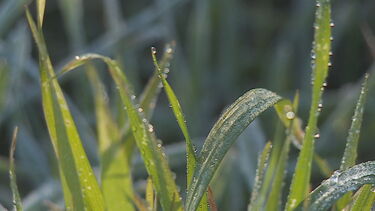Prepare-se! Massa de ar polar leva a descida das temperaturas em todo o País