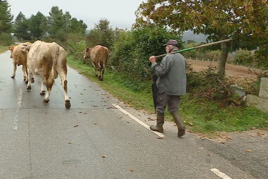 Casal acusado de explorar pastor durante sete anos em "condições sub-humanas"