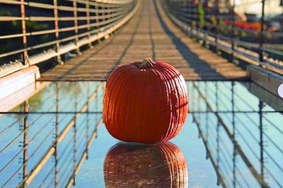 Foliões atiram abóboras de uma altura de 46 metros no Halloween