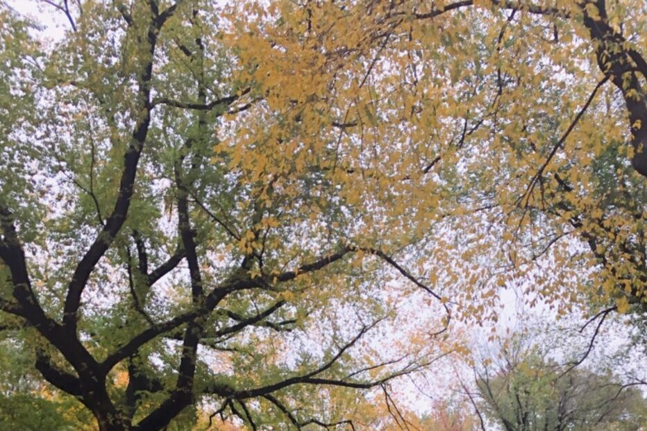 Matilde Mourinho passa aniversário em Nova Iorque