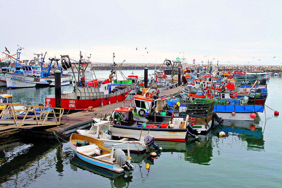 Pescadores sem espaço no porto 