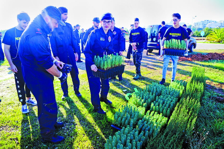 Iniciativa vai decorrer em oito concelhos, no próximo domingo e segunda-feira, e vai envolver diversos voluntários.    