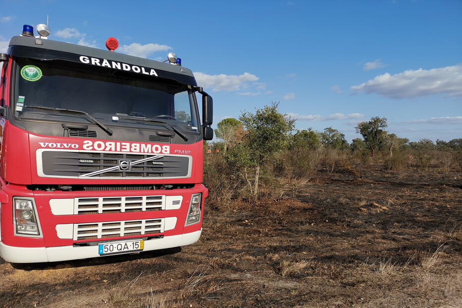 Incêndio devasta sete hectares de mato em Grândola