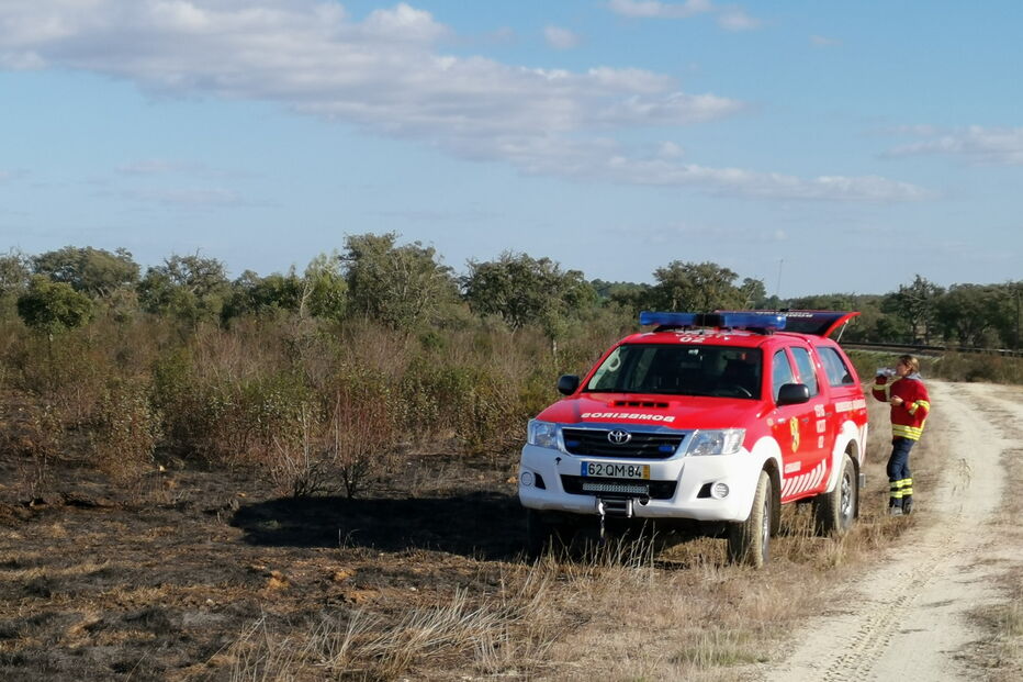 Incêndio devasta sete hectares de mato em Grândola